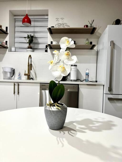 Luxury And Cozy 1 Bed Condo In The Heart Of Providence Eksteriør billede